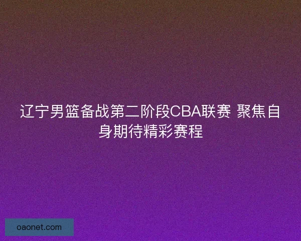 辽宁男篮备战第二阶段CBA联赛 聚焦自身期待精彩赛程